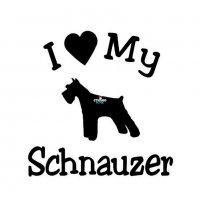 Стикер за автомобил/кола с надпис "I love my Schnauzer" Стикери/Лепенки на порадата Шнауцер, снимка 1 - За кучета - 38635783