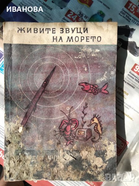 Живите звуци на морето, снимка 1