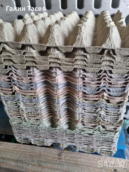 Продавам Кори за яйца, снимка 1