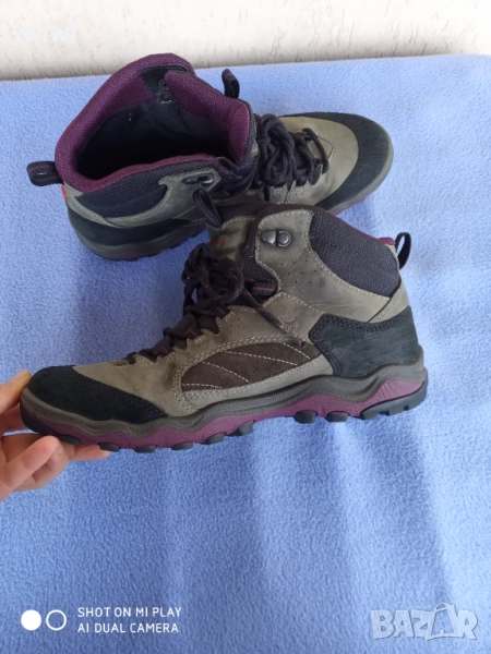 Ecco coretex номер 40., снимка 1