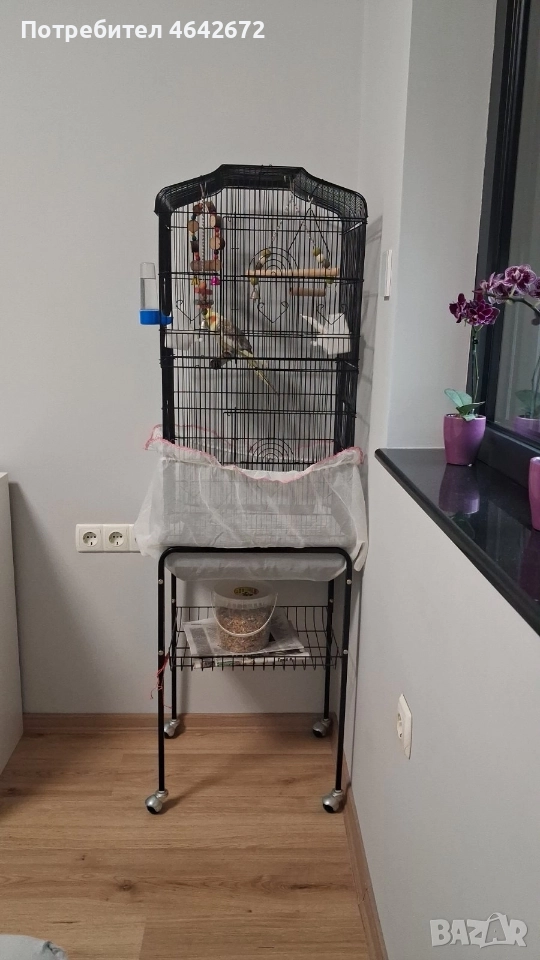 ОБЕЩАН!!! Корела с оборудвана клетка със стойка, снимка 1