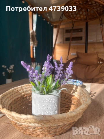 Морска каравана на къмпинг Златна рибка, снимка 3 - Каравани и кемпери - 53488843