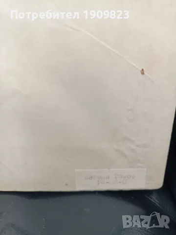 Картина Евгени Томов , снимка 6 - Картини - 48859434