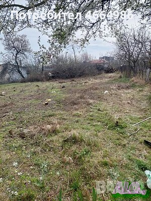 Почистване на дворни места парцели, снимка 2 - Хамалски услуги - 53741756