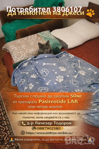 ДА ПОМОГНЕМ НА ДЖЕСИ