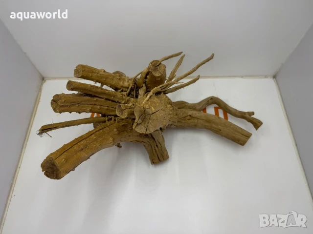 Корен Азалия 4, снимка 2 - Оборудване за аквариуми - 50934820