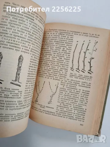 Овощарство 1959г, снимка 9 - Специализирана литература - 56270346