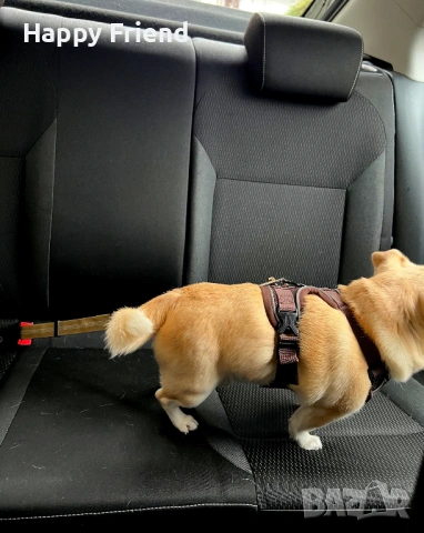 Безопасност за кучето ти в кола – здрав предпазен колан *НОВ*, снимка 4 - За кучета - 53697919