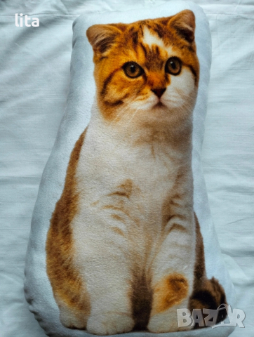 Декоративна възглавница + 2 калъфки , снимка 5 - Декорация за дома - 53220837