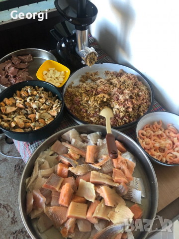 Домашна кайма за дискуси Топ качество , снимка 3 - Рибки - 36141966