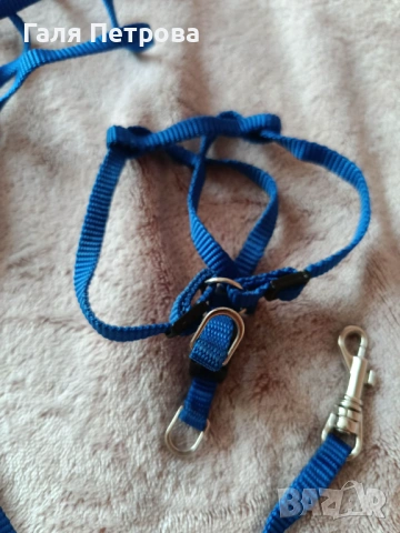 Нагръдници и поводи за развеждане на котки, снимка 5 - За котки - 53793626