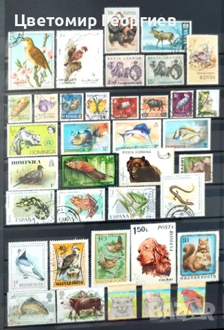 Пощенски марки/животни/. К.2, снимка 2 - Филателия - 49347924