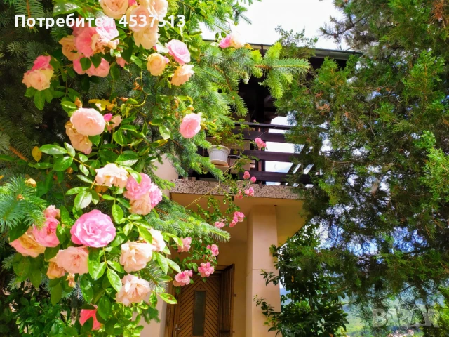 Продава се масивна триетажна къща във вилна зона с. Храбрино, снимка 10 - Вили - 51079555