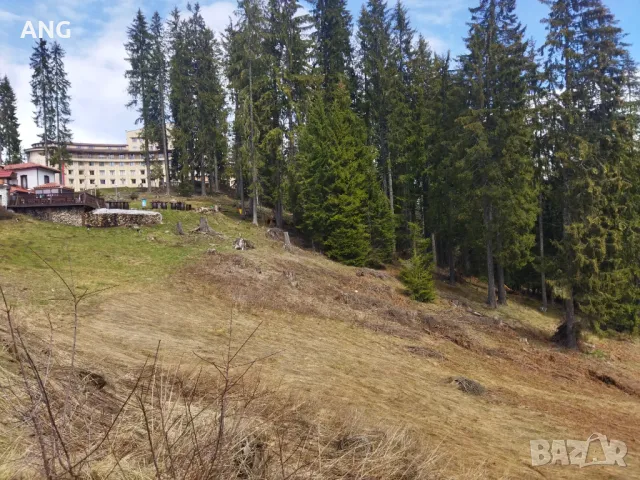 Продава парцел в регулация в к.к.Пампорово, снимка 13 - Парцели - 49774670