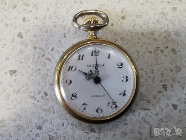 малък джобен MILDIA