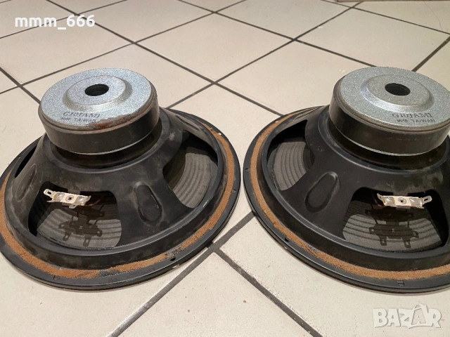 Басови говорители 10 инча, снимка 3 - Тонколони - 53839687