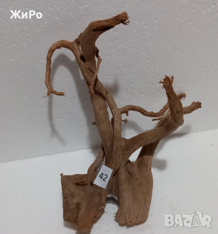 Корен от Азалия /декорация/ 42