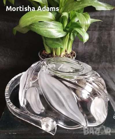 Walter glass, Nadine , снимка 4 - Други - 49668016