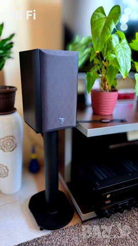 Focal Chorus 705 S – Като нови, прецизен звук и доказано качество, снимка 2 - Тонколони - 53846598