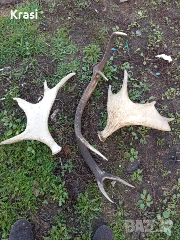 Raga 3br , снимка 2 - Други - 52268559