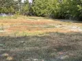 Парцел под наем, снимка 7