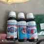 Подарявам аквариум+оборудване 13/15л. , снимка 8