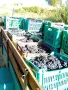 продавам грозде мерло и Каберне , снимка 12