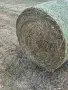 Бали чиста люцерна, намират се в Ново  Железаре, общ.аХисар, налични 65 броя-цена 35 евро. , снимка 2