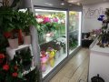 Хладилна витрина за цветя, снимка 1 - Витрини - 40895672