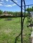 Продавам къща с двор в село Старосел, снимка 3