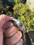 Seiko Alpinist SPB249J1, снимка 5