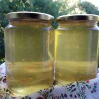 Натурален пчелен мед от акация, снимка 1 - Пчелни продукти - 41793799