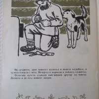 Книга "Как кучето си намерило другар-Васил Александров"-12ст, снимка 5 - Детски книжки - 41408095