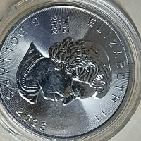 Сребърни монети  9999 1унция 31.1гр., снимка 5 - Нумизматика и бонистика - 44765037