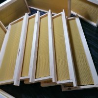 Рамки за пчелни кошери с монтирани восъчни основи, снимка 5 - За пчели - 44252856