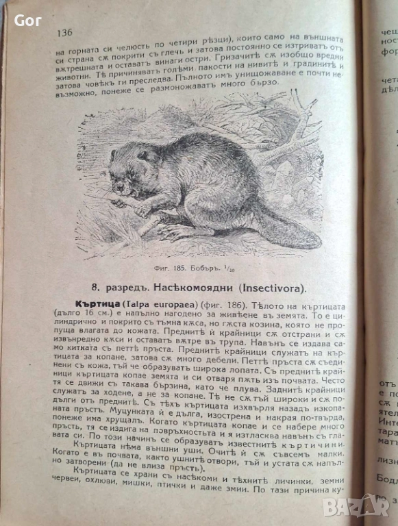 100-годишна антикварна ценност: „Зоология“ (1926) – Изд. Хр. Г. Данов, снимка 1