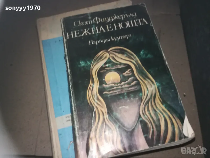 НЕЖНА Е НОЩТА 2309241122, снимка 1