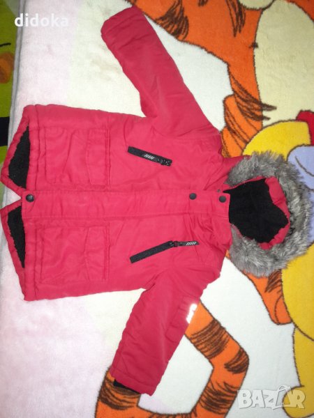 Червено яке , снимка 1