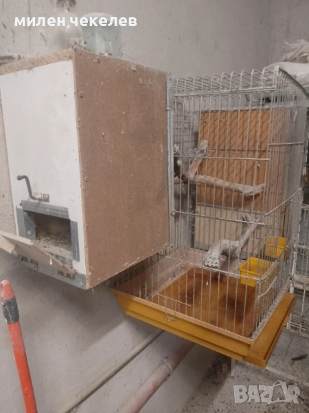 клетка за средни папагали за развъждане, снимка 1