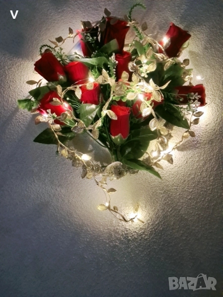 Рози, снимка 1