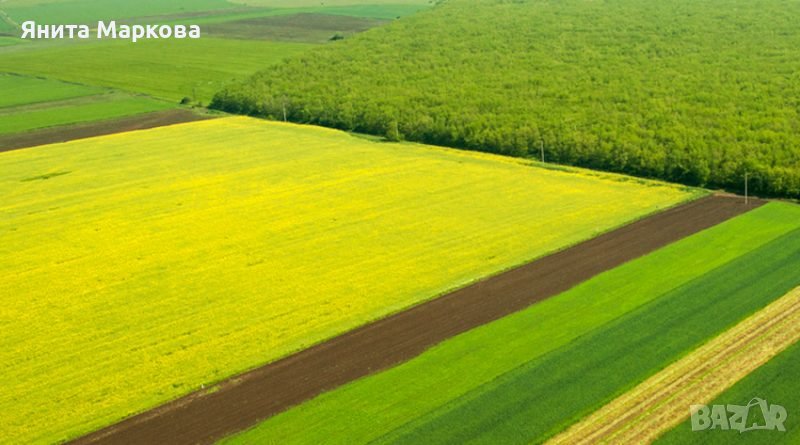 Купувам ЗЕМЕДЕЛСКА ЗЕМЯ всички землища в Община Камено, снимка 1