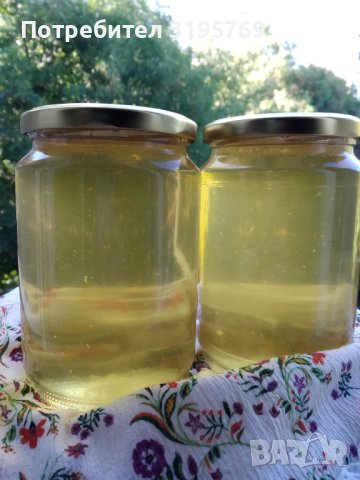Натурален пчелен мед от акация, снимка 1 - Пчелни продукти - 41793799