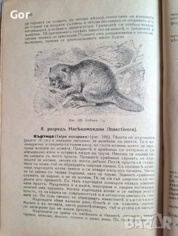 100-годишна антикварна ценност: „Зоология“ (1926) – Изд. Хр. Г. Данов