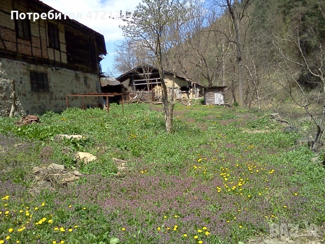 Парцел с лице към Прохода на Републиката, река и планина – с. Пчелиново, снимка 3 - Парцели - 53249355
