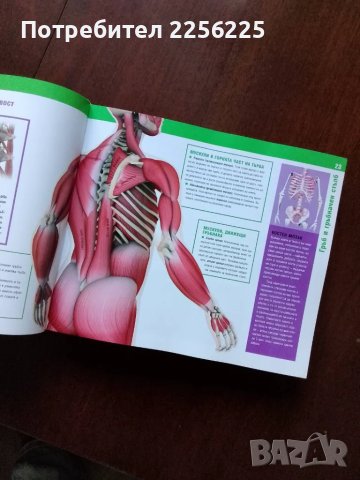 Здрави кости,мускули и стави, снимка 4 - Специализирана литература - 50427115