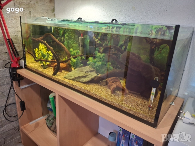 Три  Аквариума , снимка 10 - Аквариуми - 50487180