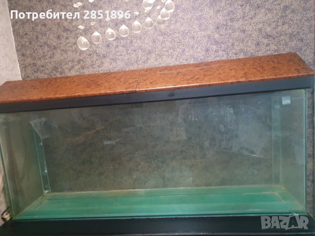 АКвариум 500 литра, снимка 3 - Аквариуми - 52591781