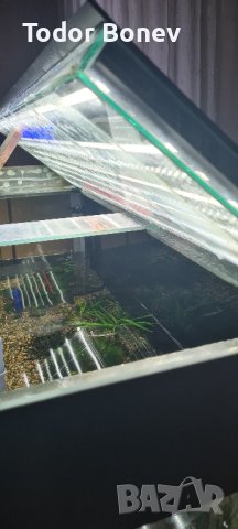 Продавам осветление за растителен аквариум , снимка 2 - Аквариуми - 42693295