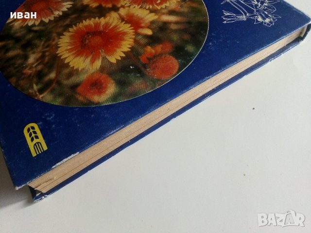 599 съвета за любителя цветар - В.Ангелиев,Н.Николова - 1981г., снимка 13 - Енциклопедии, справочници - 40228991