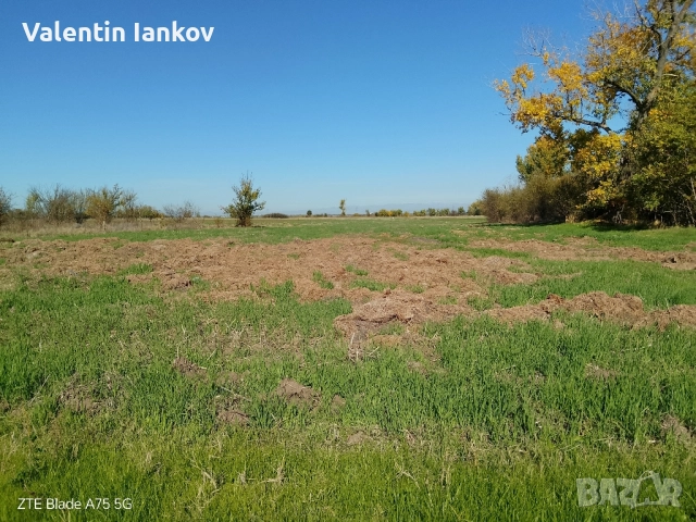 Земеделска земя трета категория в с. Конуш, снимка 4 - Земеделска земя - 52256960